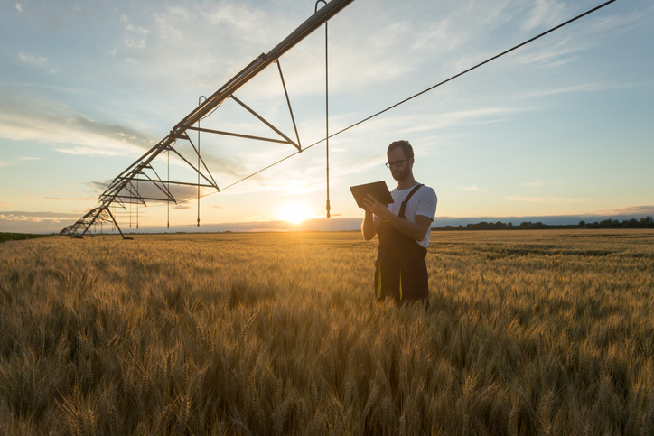 photo of a young farmer in a field holding a tablet